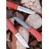 Cutit Morakniv Garberg Dala Red, lama otel inoxidabil + CADOU kit supravietuire si cutit Companion Dala Red